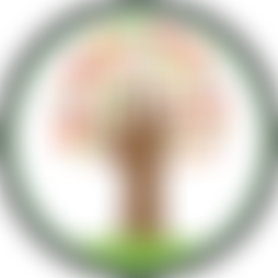 The Friends Of Lawn Primary School | Charici