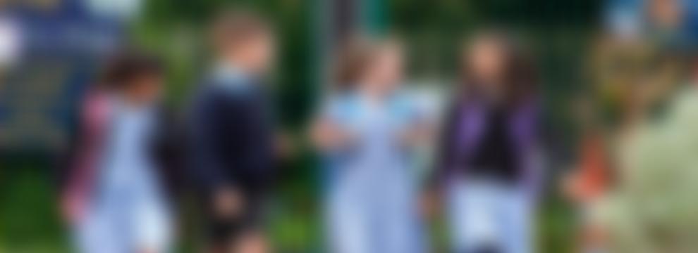 Tidbury Green School Association | Charici