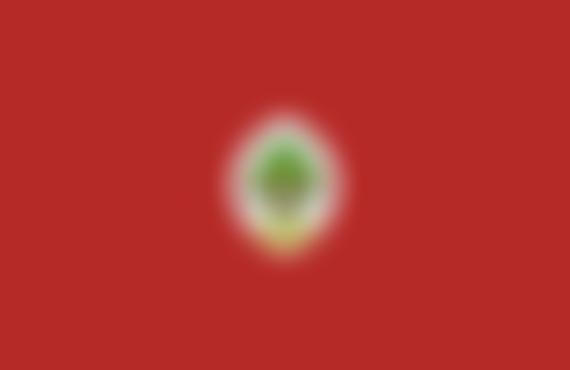 John Harrox County Primary School Fund | Charici