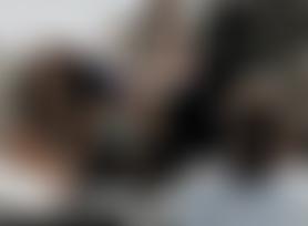 Adventist Development And Relief Agency - Trans European Division | Charici