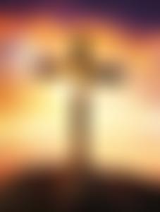 Wellington Evangelical Chapel | Charici