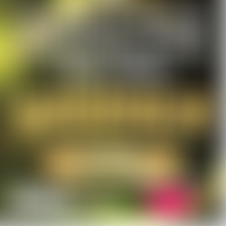 Marches Family Network | Charici