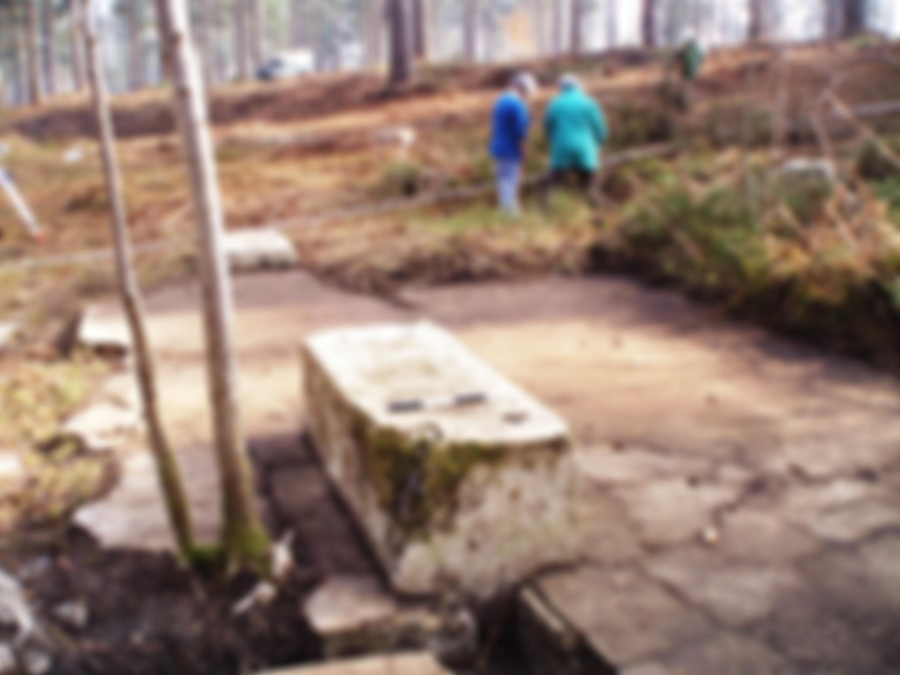 Council For British Archaeology South East | Charici