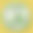 Wallasey Historical Society | Charici