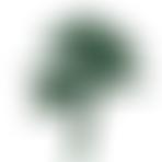 The Friends Of Leazes Park | Charici