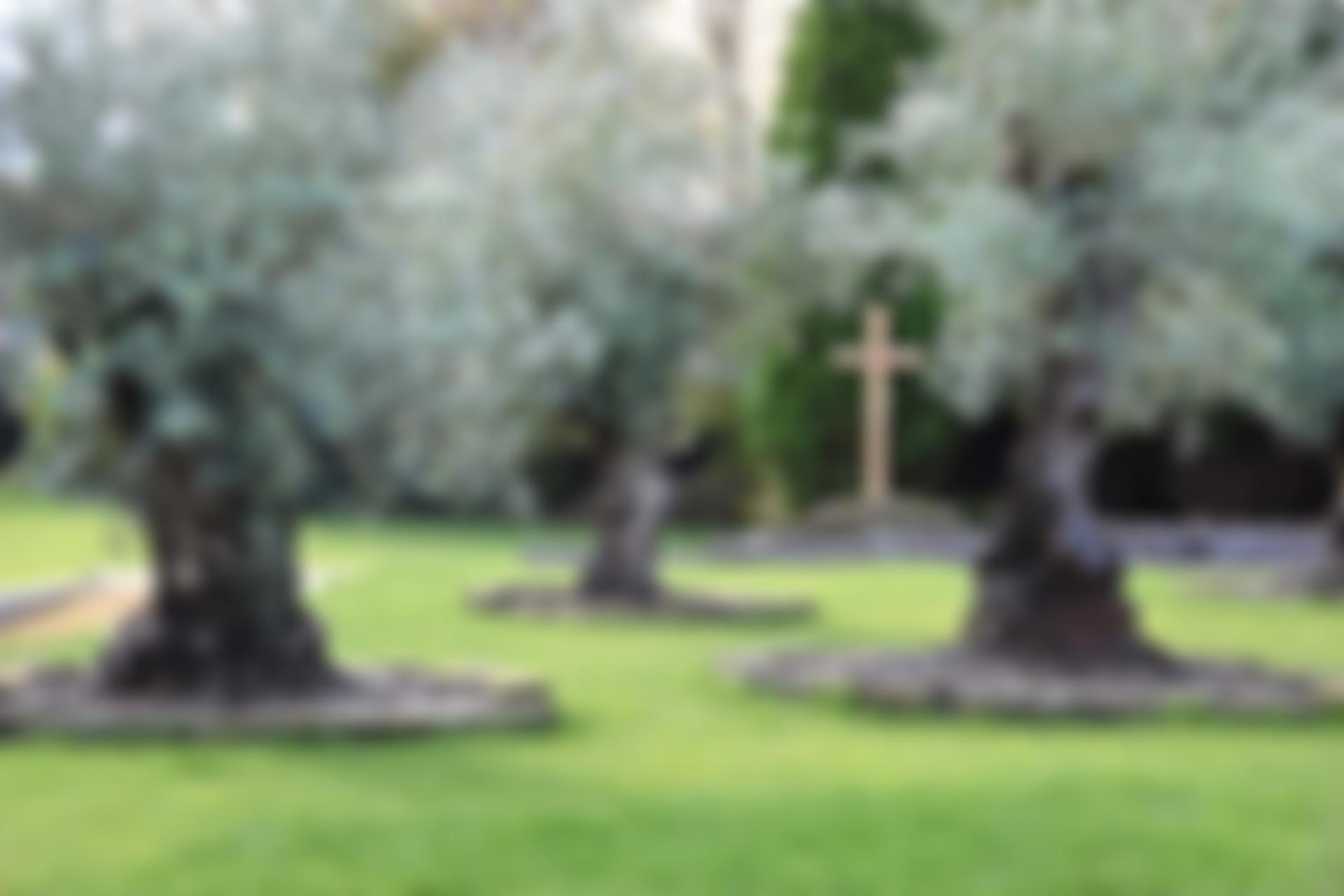 The Vine Fellowship (Littleborough) | Charici