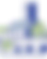 Henley Society | Charici
