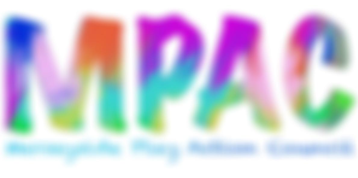 Merseyside Play Action Council | Charici