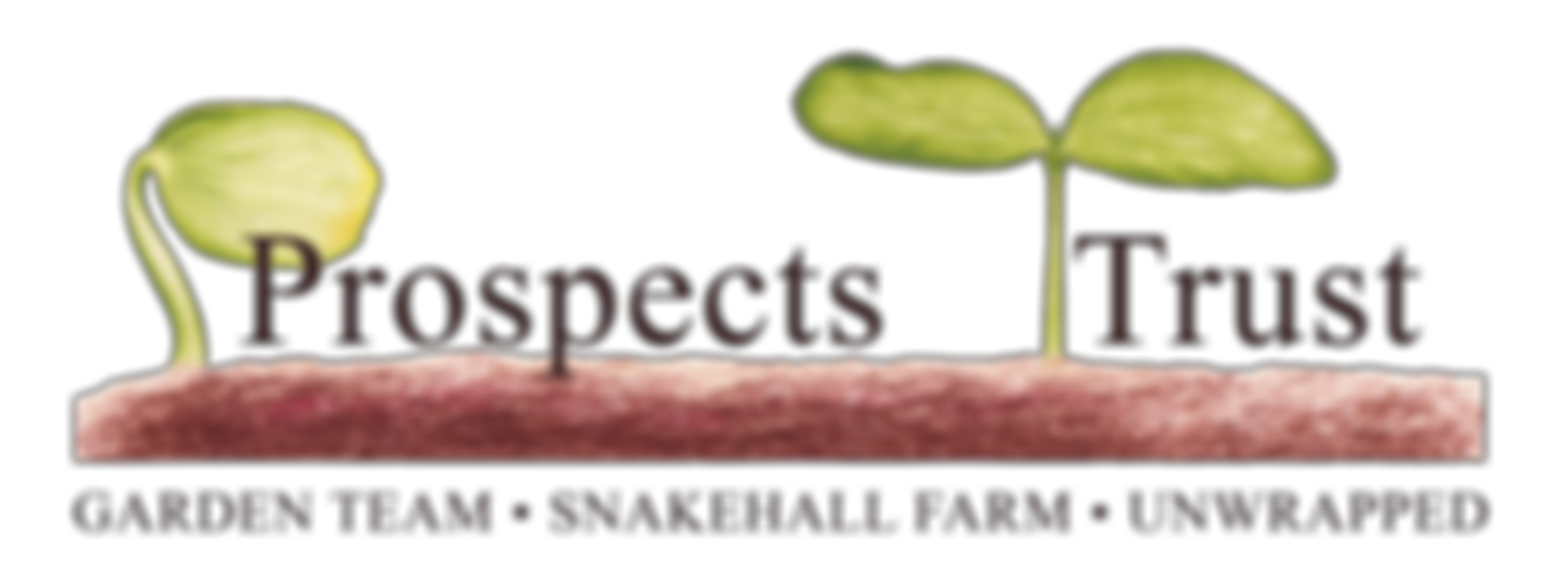 The Prospects Trust | Charici