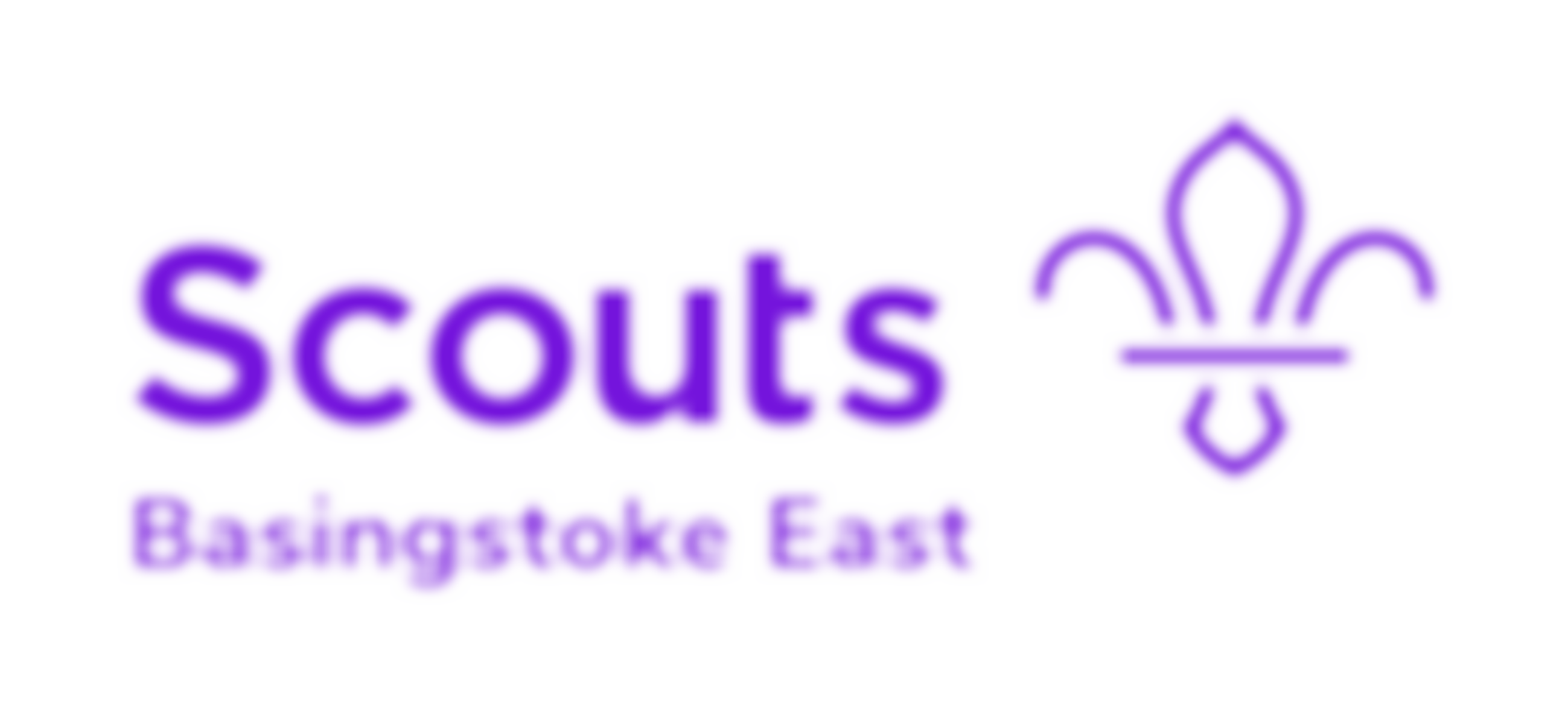 1St Chineham Scout Group | Charici