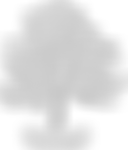 The Meadows School Fund | Charici