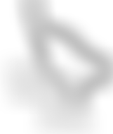 Cat Action Trust - North And West Wiltshire | Charici