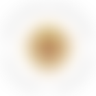 Cor Lumen Christi Trust | Charici