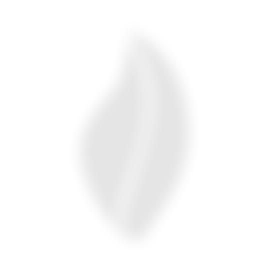 Wooden Hill Home School Association | Charici