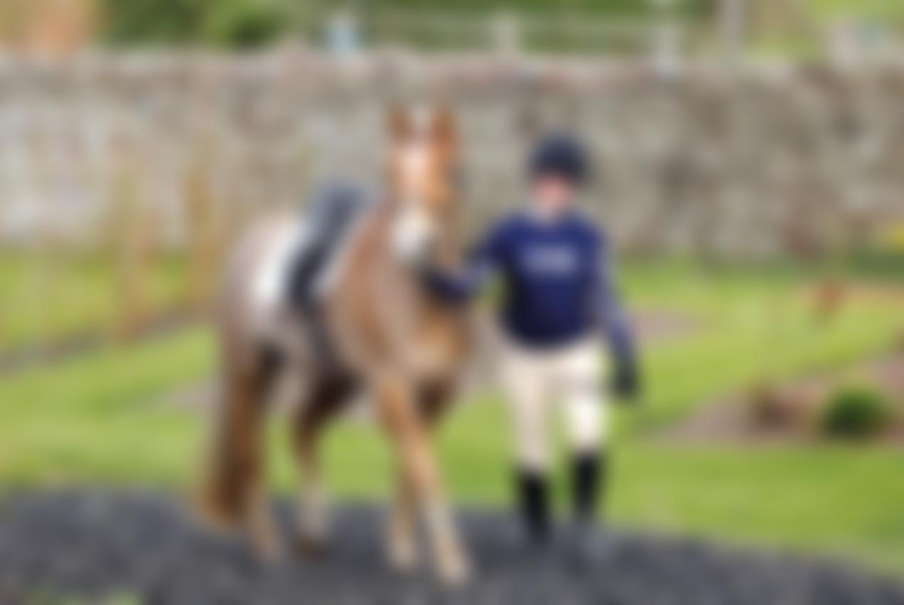 The Pony Club | Charici