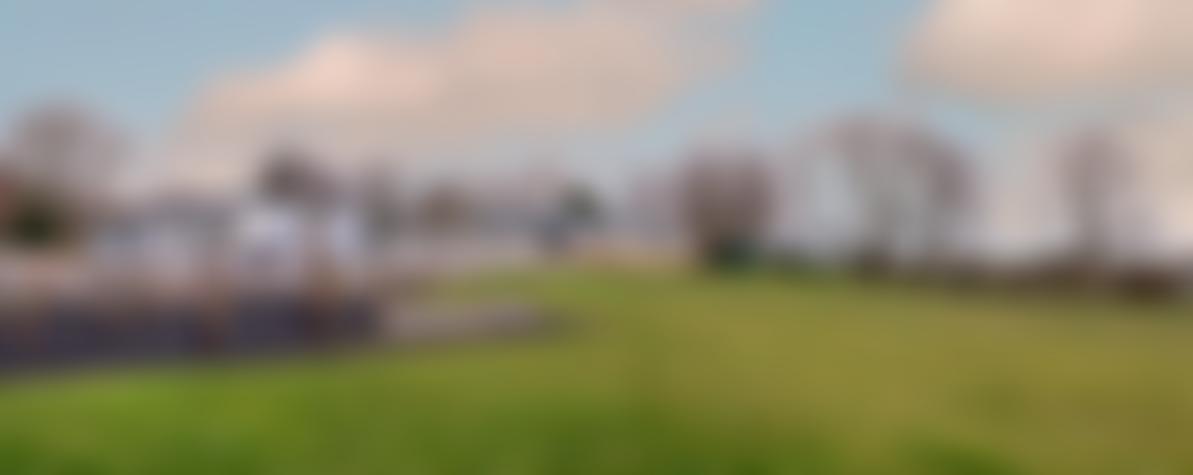 Felton School Friends Association | Charici