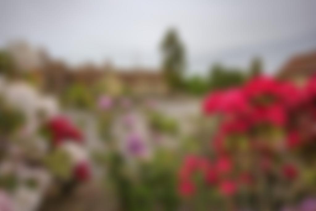 Midhurst U3A | Charici