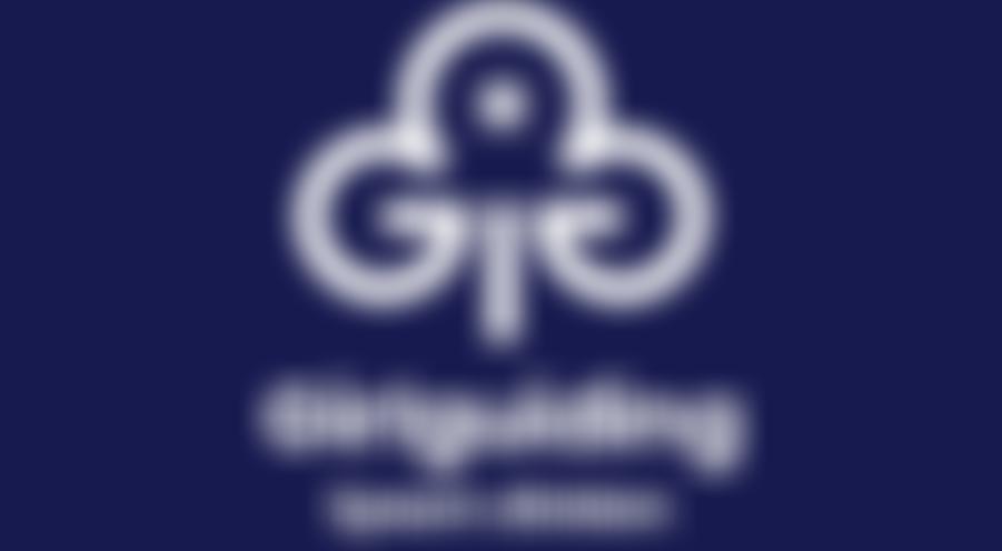 Guide Association - Epsom Division | Charici