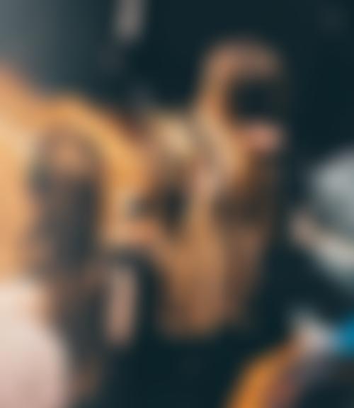 The Anglia Singers | Charici