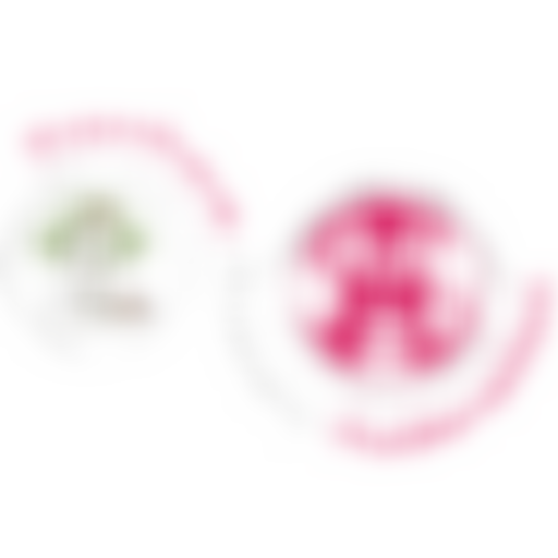 Friends Of Hanham Primary Federation | Charici