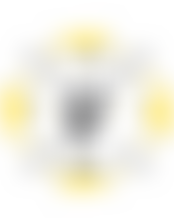 New York School Fund | Charici