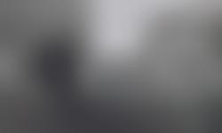 The Hawks Charitable Trust | Charici