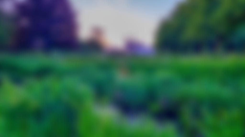 Cambridge Past, Present & Future | Charici