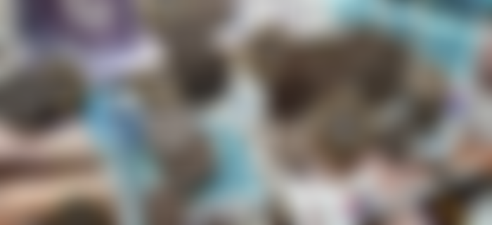 Norwich Diocesan Association Of Ringers | Charici