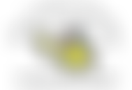 The Cartesians Academy Supplementary School- Cass | Charici