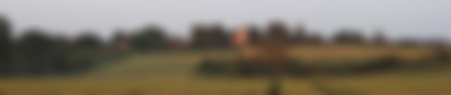 The Poor Allotment Or Common | Charici