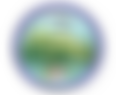 North Newton County Primary School Parent Teachers And Friends Association | Charici