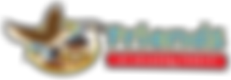 Friends Of Avening School | Charici