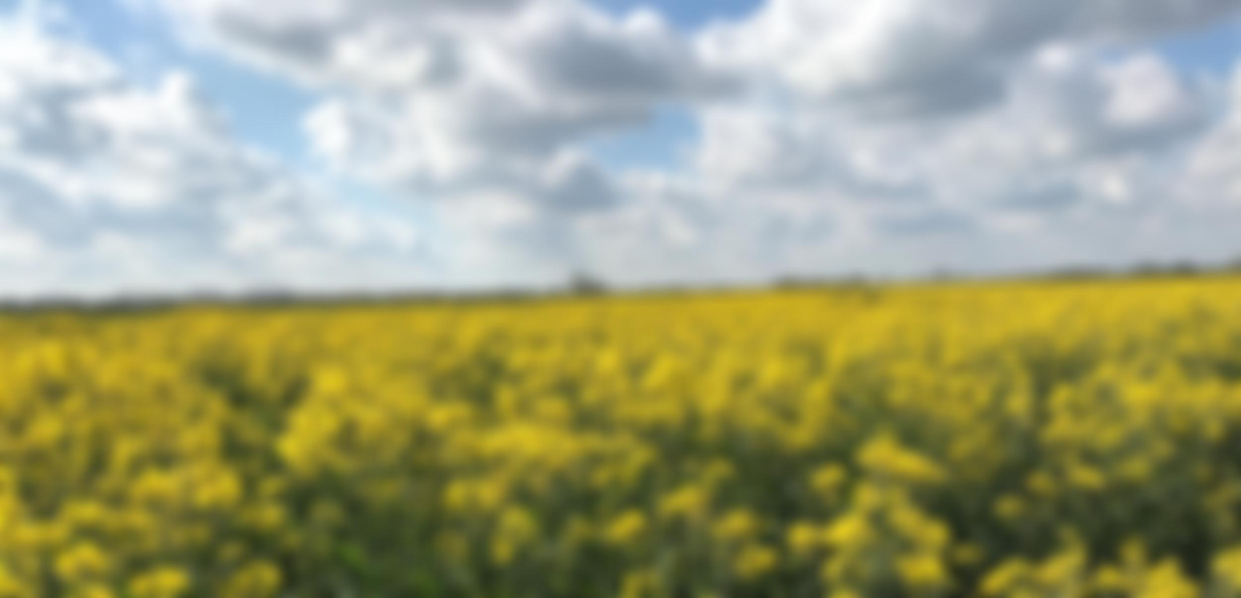 Little Thetford Village Hall | Charici