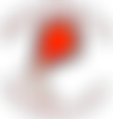 Friends Of Broughton School | Charici