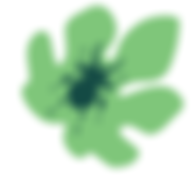 Eden Nature Garden, At St Paul’s Clapham | Charici