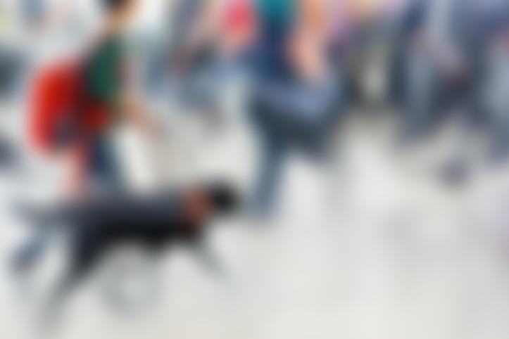 National Federation Of The Blind Of The United Kingdom | Charici