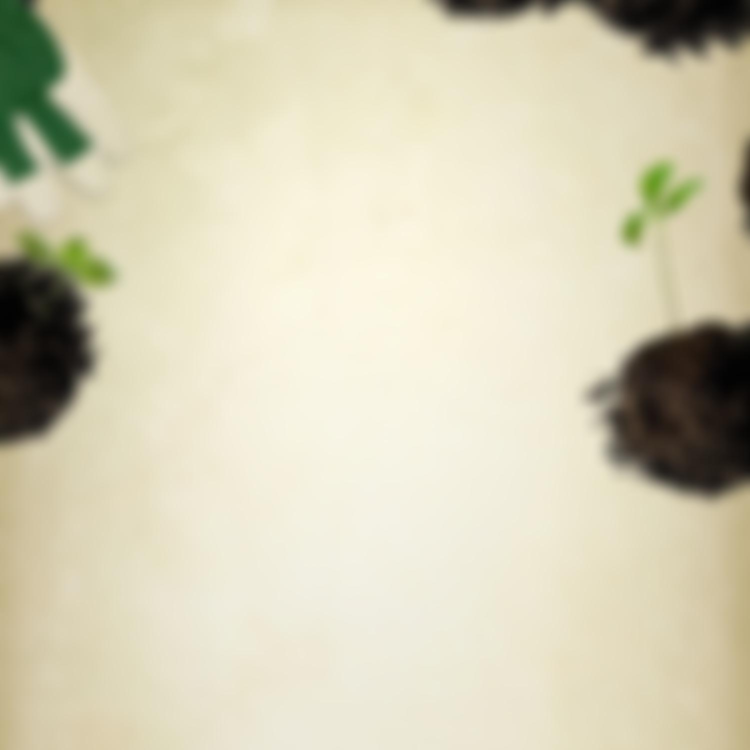 Cardiff Conservation Volunteers | Charici