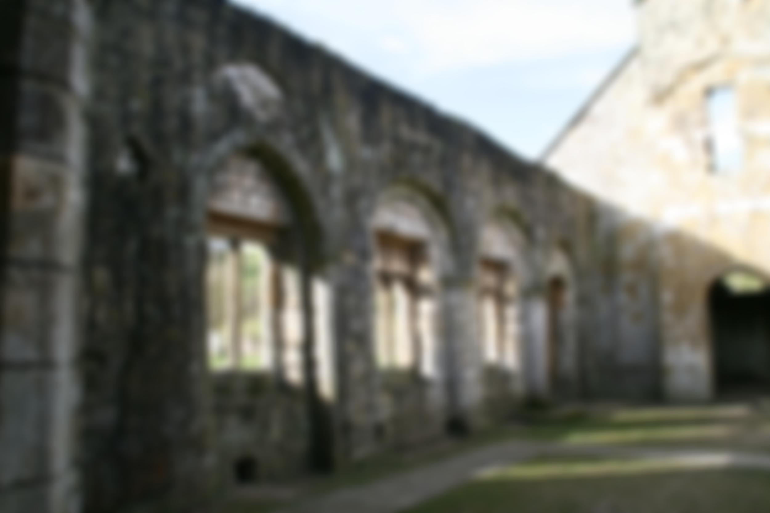 The Society For Church Archaeology | Charici