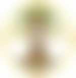 Centrepoint Outreach | Charici