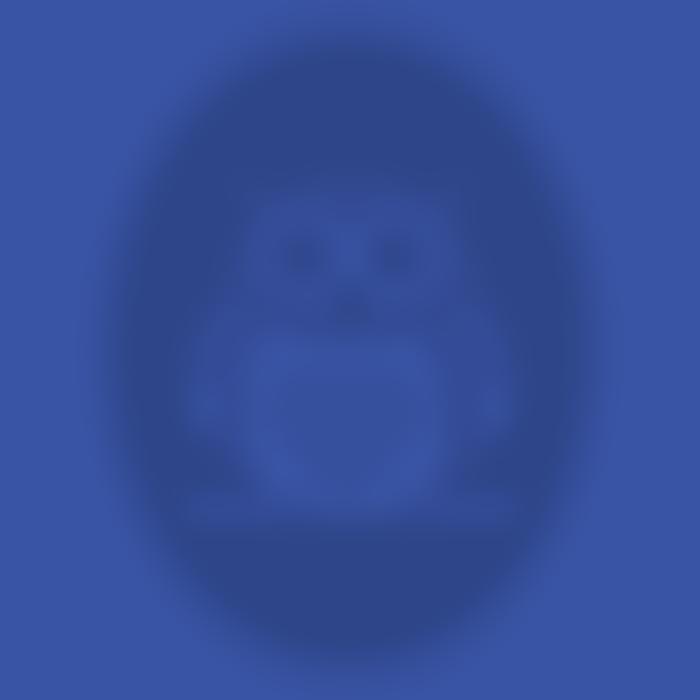 Hillside County First School Parent Teacher Association | Charici