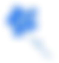 The Myosotis Trust | Charici