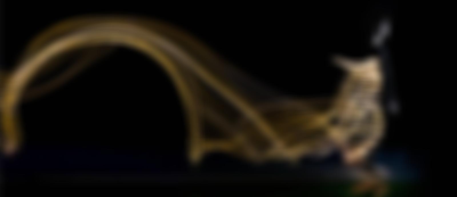 Academy For Contemporary Circus And Physical Theatre | Charici