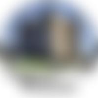 Rye Museum Association | Charici