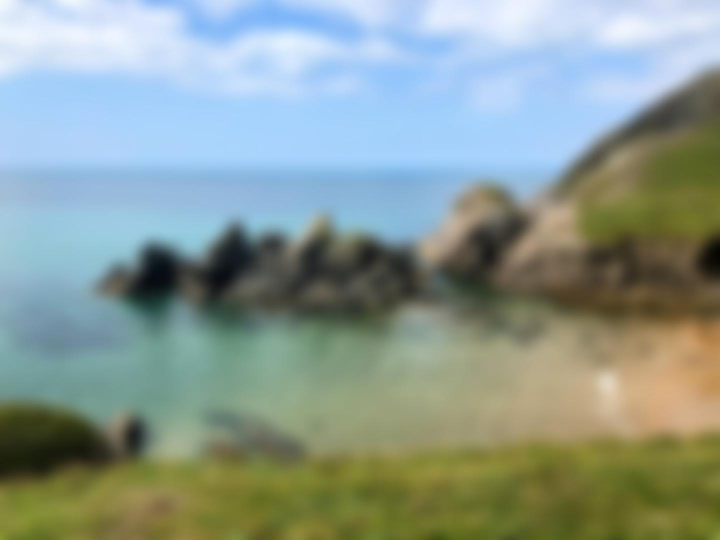 Devon Community Foundation | Charici