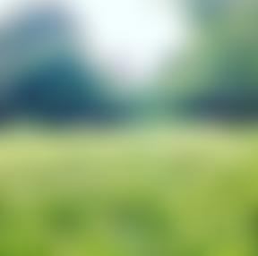 The Edenham Regional House Trust | Charici