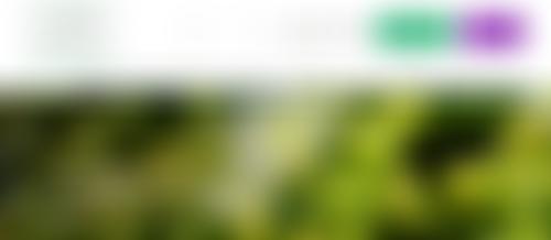 UK Overseas Territories Conservation Forum | Charici