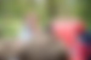 West Hatch Scout Group | Charici