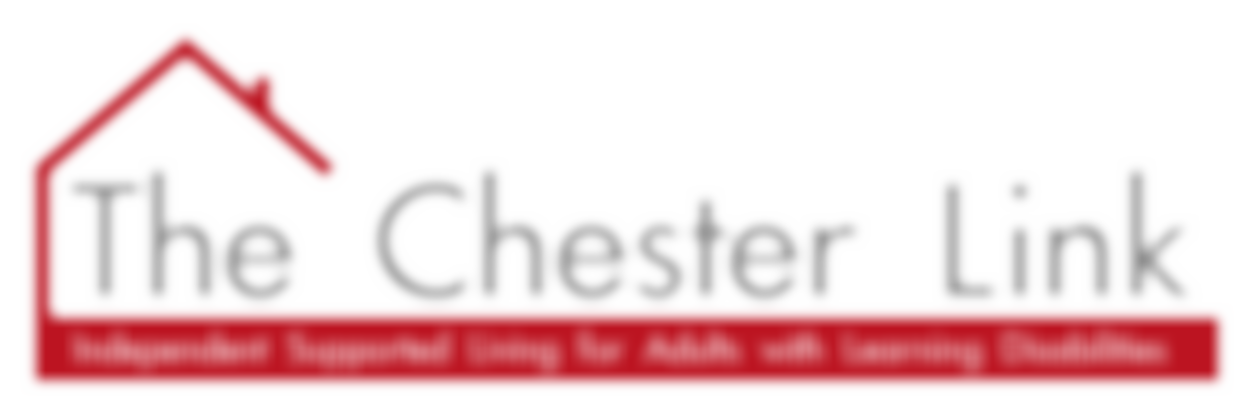 The Chester Link | Charici