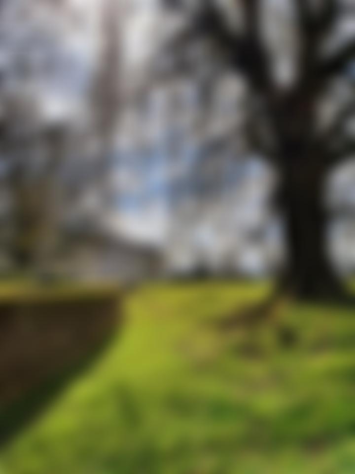 Petworth And District Community Association | Charici