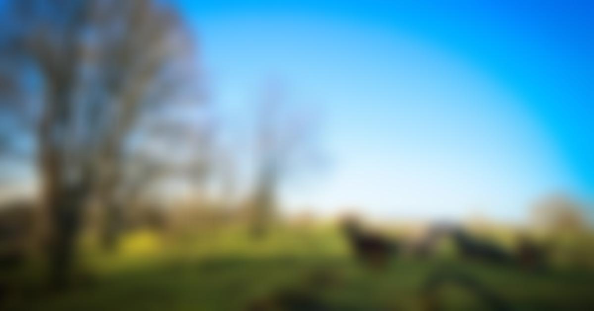 The Raystede Centre For Animal Welfare Limited | Charici